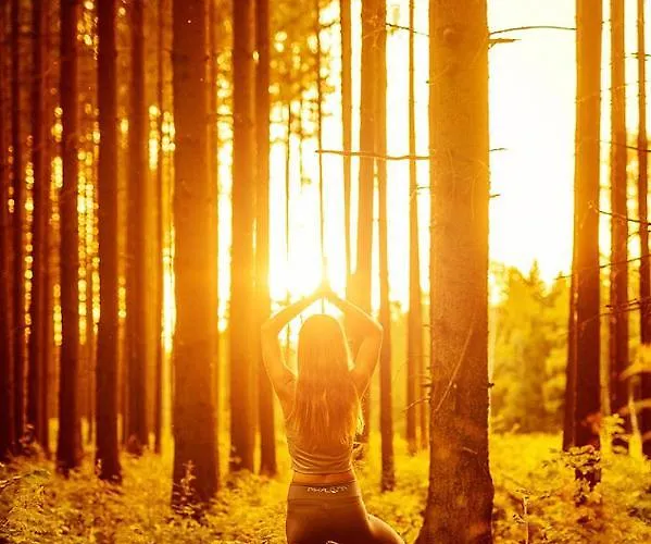 Blanko Nová Bystřice